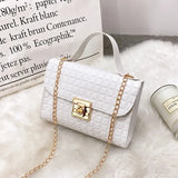Noir Charm Mini Bag
